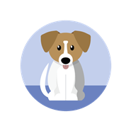 dog icon