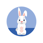 rabbit icon