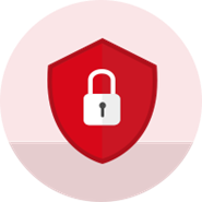 secure icon